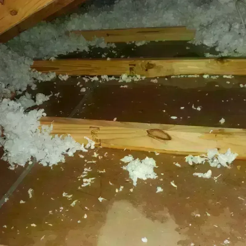 Attic Water Damage in Winnsboro, TX